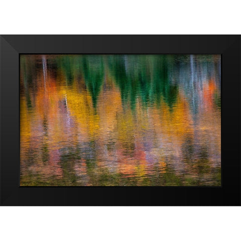 USA-New Hampshire-New England Fall colors reflected in the waters of the Saco River Crawford Notch  Black Modern Wood Framed Art Print by Gulin, Sylvia