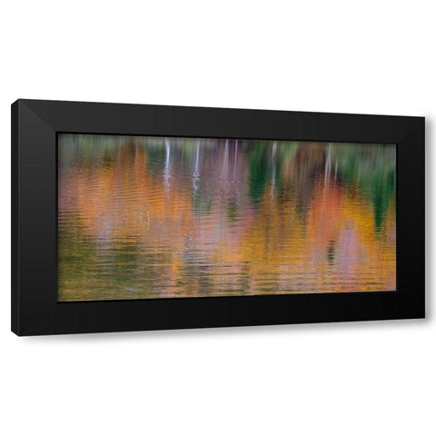 USA-New Hampshire-New England Fall colors reflected in the waters of the Saco River Crawford Notch  Black Modern Wood Framed Art Print by Gulin, Sylvia