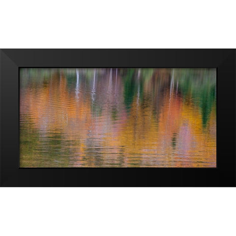 USA-New Hampshire-New England Fall colors reflected in the waters of the Saco River Crawford Notch  Black Modern Wood Framed Art Print by Gulin, Sylvia