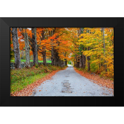 USA-New Hampshire-One lane road lined with Maple trees and stone fence in Autumn Black Modern Wood Framed Art Print by Gulin, Sylvia