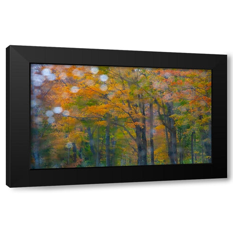 USA-New Hampshire-Sugar Hill looking through windshield on rainy day with Hardwood trees in Autumn  Black Modern Wood Framed Art Print with Double Matting by Gulin, Sylvia