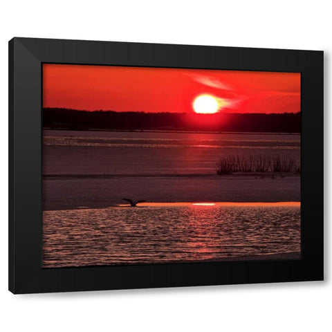 New Jersey, Cape May Sunset reflection on water Black Modern Wood Framed Art Print with Double Matting by OBrien, Jay