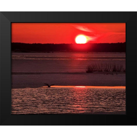 New Jersey, Cape May Sunset reflection on water Black Modern Wood Framed Art Print by OBrien, Jay