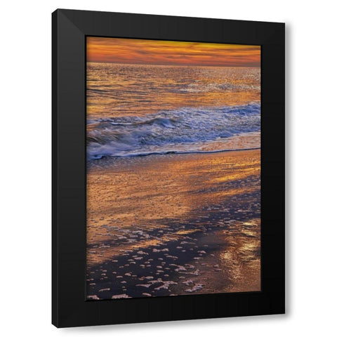 New Jersey, Cape May Sunset on the beach Black Modern Wood Framed Art Print with Double Matting by OBrien, Jay