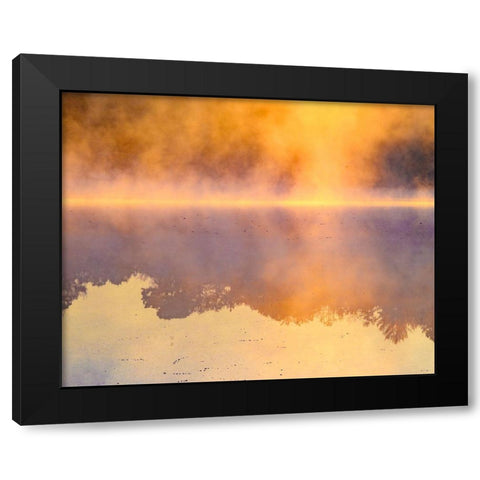 New Jersey-Belleplain State Forest Sunrise on lake fog  Black Modern Wood Framed Art Print with Double Matting by Jaynes Gallery