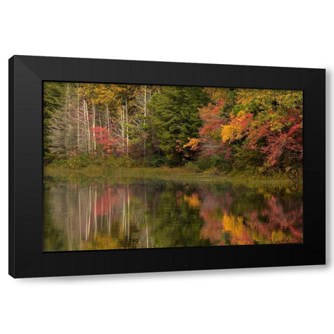 New Jersey-Wharton State Forest Lake and forest in autumn  Black Modern Wood Framed Art Print with Double Matting by Jaynes Gallery