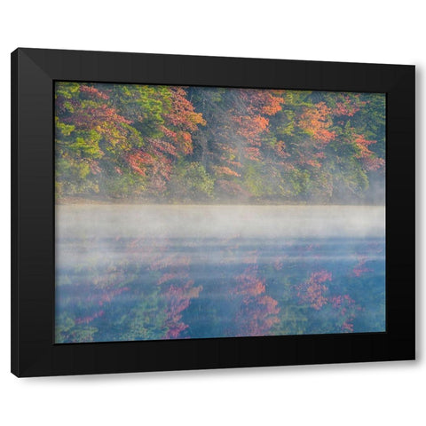 New Jersey-Belleplain State Forest Sunrise on lake fog  Black Modern Wood Framed Art Print with Double Matting by Jaynes Gallery
