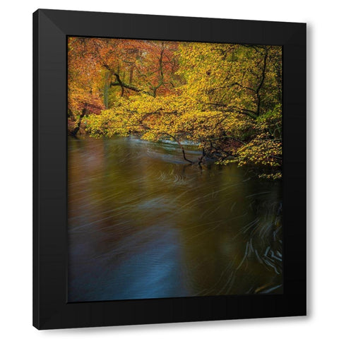 New Jersey-Wharton State Forest River and forest in autumn  Black Modern Wood Framed Art Print with Double Matting by Jaynes Gallery