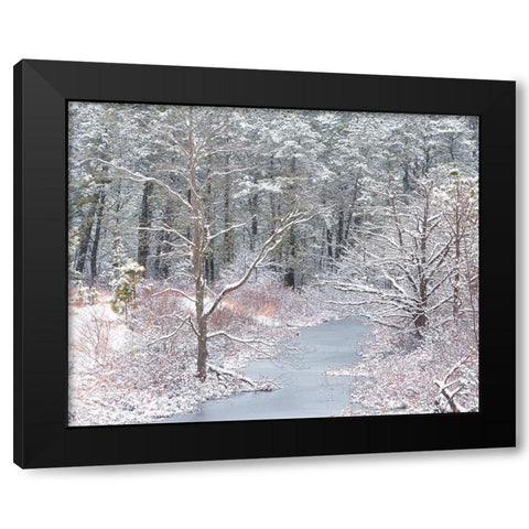 USA-New Jersey-Pine Barrens National Preserve-Winter scenic of stream and forest Black Modern Wood Framed Art Print with Double Matting by Jaynes Gallery