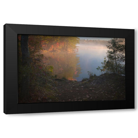 USA-New Jersey-Pine Barrens National Preserve Foggy forest and lake landscape Black Modern Wood Framed Art Print by Jaynes Gallery