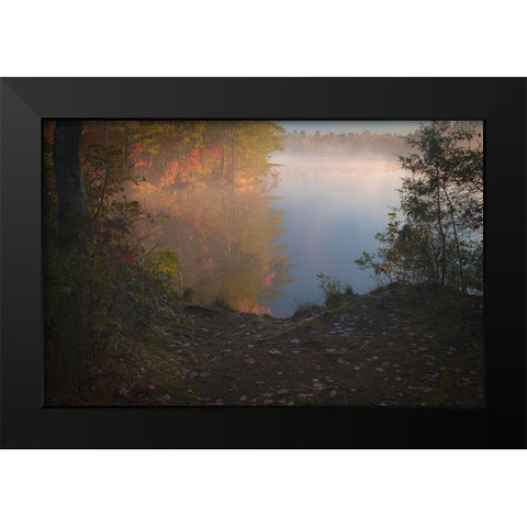 USA-New Jersey-Pine Barrens National Preserve Foggy forest and lake landscape Black Modern Wood Framed Art Print by Jaynes Gallery