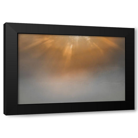 USA-New Jersey-Cape May National Seashore Sunrise beams on foggy ocean Black Modern Wood Framed Art Print by Jaynes Gallery