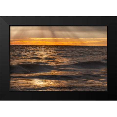 USA-New Jersey-Cape May National Seashore Sunset on ocean shore Black Modern Wood Framed Art Print by Jaynes Gallery