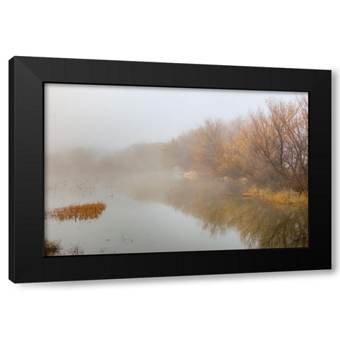 Trees on foggy morning-Bosque del Apache National Wildlife Refuge-New Mexico Black Modern Wood Framed Art Print with Double Matting by Jones, Adam