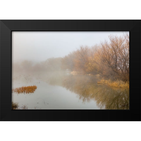 Trees on foggy morning-Bosque del Apache National Wildlife Refuge-New Mexico Black Modern Wood Framed Art Print by Jones, Adam