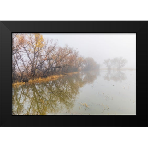 Trees on foggy morning-Bosque del Apache National Wildlife Refuge-New Mexico Black Modern Wood Framed Art Print by Jones, Adam