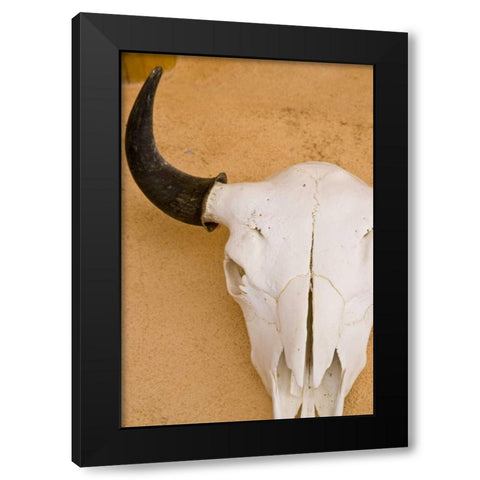New Mexico, Santa Fe Animal skull on wall Black Modern Wood Framed Art Print by Ross, Nancy ,  Steve