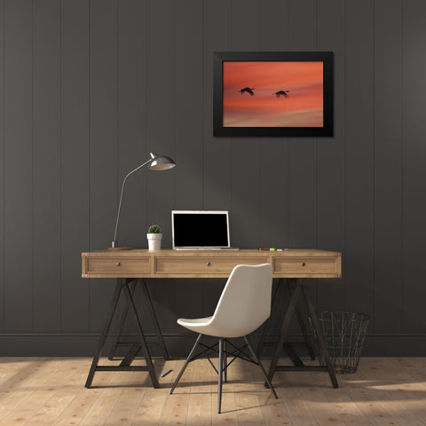 New MexicoAbstract of two sandhill cranes Black Modern Wood Framed Art Print by Anon, Josh