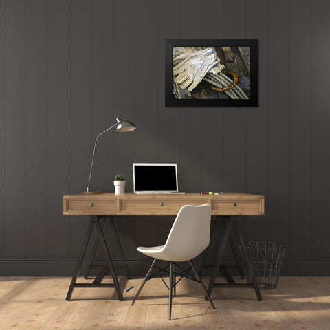 New Mexico, Santa Fe Close-up of cowboy gear Black Modern Wood Framed Art Print by OBrien, Jay