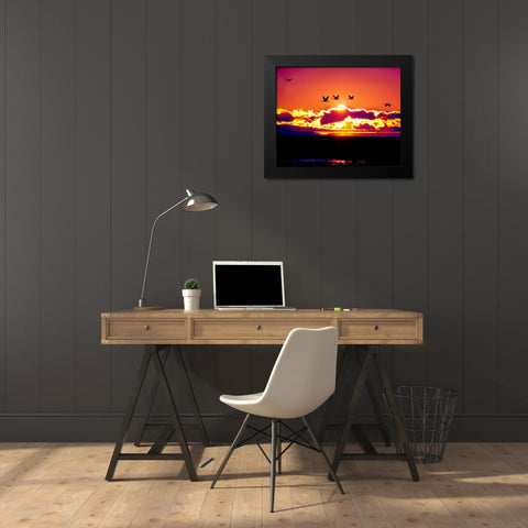 New Mexico Sandhill cranes flying through sunset Black Modern Wood Framed Art Print by Kelley, David