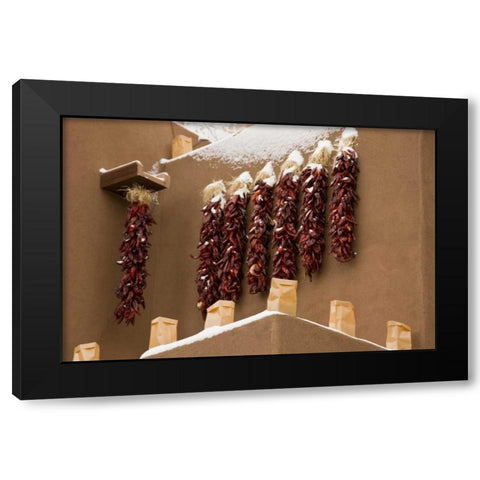 New Mexico, Santa Fe Chili pepper ristras Black Modern Wood Framed Art Print by Grall, Don