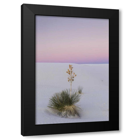 New Mexico, White Sands NM Yucca plant at sunset Black Modern Wood Framed Art Print by Illg, Cathy and Gordon