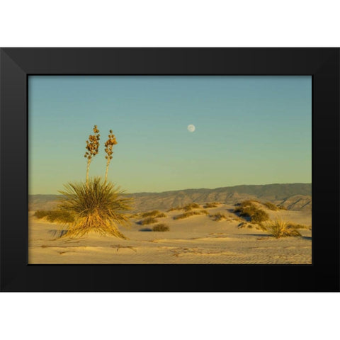 New Mexico, White Sands NM Moonrise over desert Black Modern Wood Framed Art Print by Illg, Cathy and Gordon