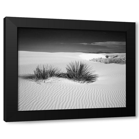 New Mexico, White Sands NM Bush in desert sand Black Modern Wood Framed Art Print with Double Matting by Flaherty, Dennis