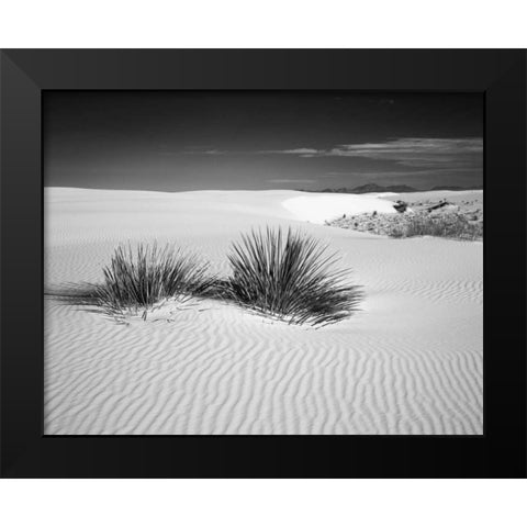 New Mexico, White Sands NM Bush in desert sand Black Modern Wood Framed Art Print by Flaherty, Dennis