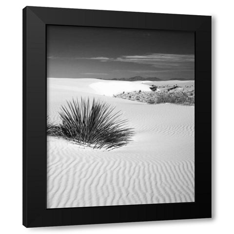 New Mexico, White Sands NM Bush in desert sand Black Modern Wood Framed Art Print by Flaherty, Dennis