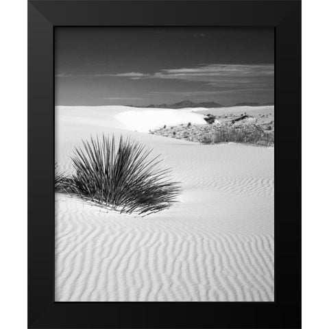 New Mexico, White Sands NM Bush in desert sand Black Modern Wood Framed Art Print by Flaherty, Dennis