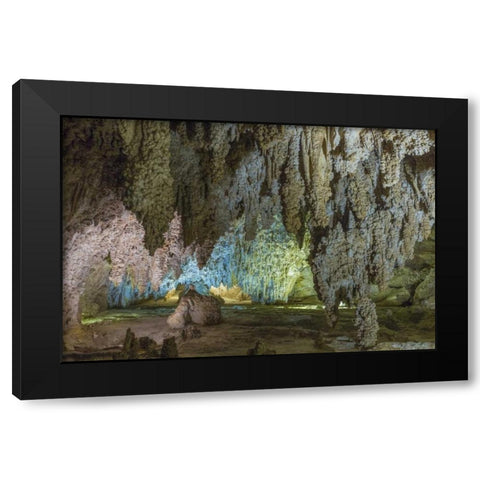 New Mexico, Carlsbad Caverns Scenic of cavern Black Modern Wood Framed Art Print with Double Matting by Paulson, Don