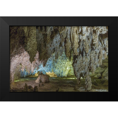 New Mexico, Carlsbad Caverns Scenic of cavern Black Modern Wood Framed Art Print by Paulson, Don