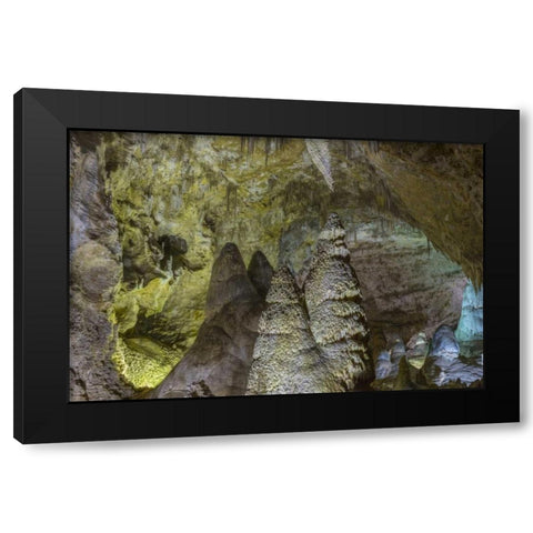 New Mexico, Carlsbad Caverns Scenic of cavern Black Modern Wood Framed Art Print with Double Matting by Paulson, Don