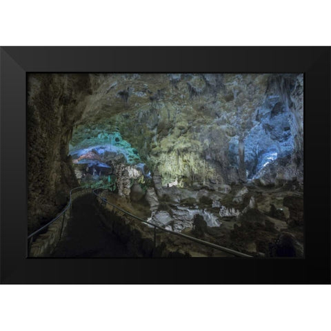 New Mexico, Carlsbad Caverns Scenic of cavern Black Modern Wood Framed Art Print by Paulson, Don