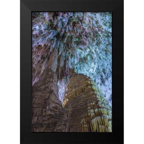 New Mexico, Carlsbad Caverns Scenic of cavern Black Modern Wood Framed Art Print by Paulson, Don