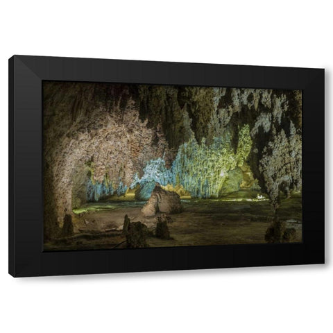 New Mexico, Carlsbad Caverns Scenic of cavern Black Modern Wood Framed Art Print by Paulson, Don