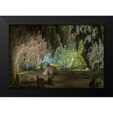 New Mexico, Carlsbad Caverns Scenic of cavern Black Modern Wood Framed Art Print by Paulson, Don