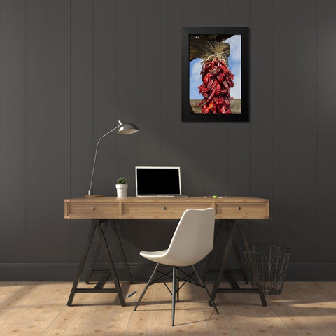 USA, New Mexico, Pinos Altos Ristas hung to dry Black Modern Wood Framed Art Print by Paulson, Don