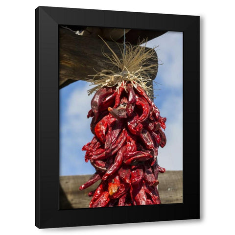 USA, New Mexico, Pinos Altos Ristas hung to dry Black Modern Wood Framed Art Print with Double Matting by Paulson, Don
