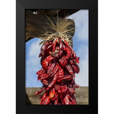 USA, New Mexico, Pinos Altos Ristas hung to dry Black Modern Wood Framed Art Print by Paulson, Don