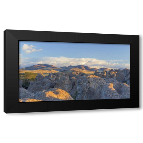 New Mexico, City of Rocks Landscape of boulders Black Modern Wood Framed Art Print by Paulson, Don