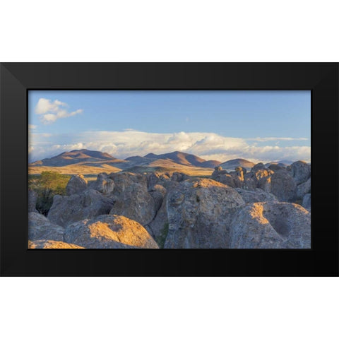 New Mexico, City of Rocks Landscape of boulders Black Modern Wood Framed Art Print by Paulson, Don