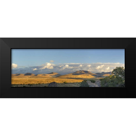New Mexico, City of Rocks SP Panoramic composite Black Modern Wood Framed Art Print by Paulson, Don