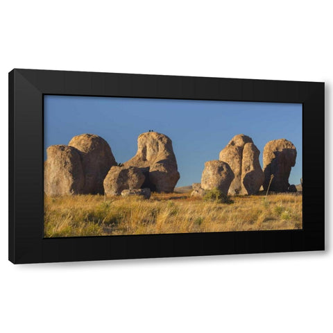 New Mexico, City of Rocks SP Ravens on a boulder Black Modern Wood Framed Art Print with Double Matting by Paulson, Don