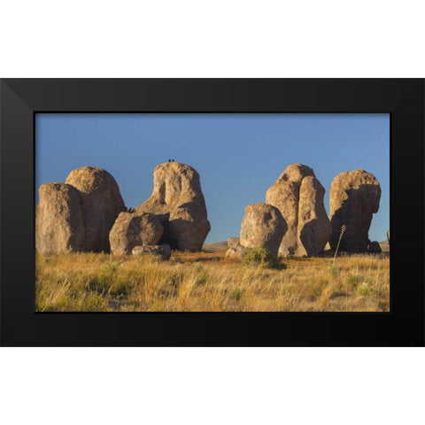 New Mexico, City of Rocks SP Ravens on a boulder Black Modern Wood Framed Art Print by Paulson, Don