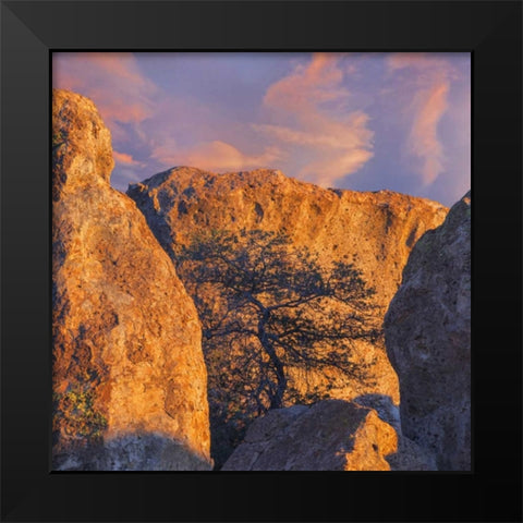 New Mexico, City of Rocks SP Sunset on boulders Black Modern Wood Framed Art Print by Paulson, Don