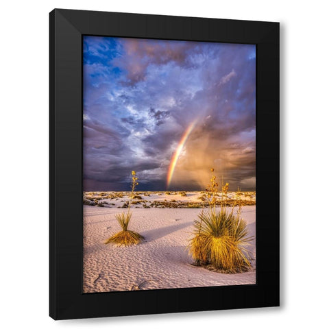USA-New Mexico-White Sands National Park Thunderstorm rainbow over desert Black Modern Wood Framed Art Print by Jaynes Gallery