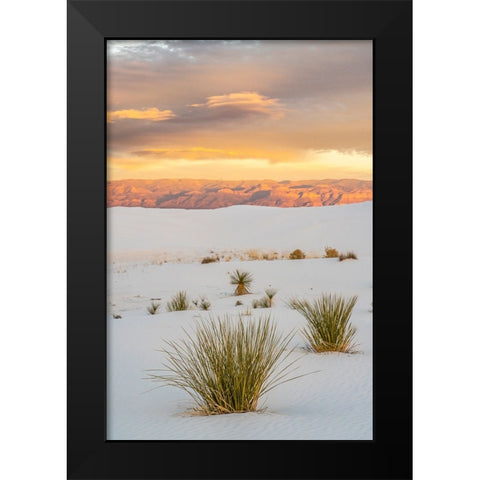 USA- New Mexico- White Sands National Monument. Clouds over sand dunes and yucca cactus. Black Modern Wood Framed Art Print by Jaynes Gallery