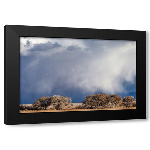 Winter storms in the Manzano mountains-New Mexico Black Modern Wood Framed Art Print with Double Matting by Pryor, Maresa